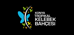Tropikal Kelebek Bahçesi Logo Kiti
